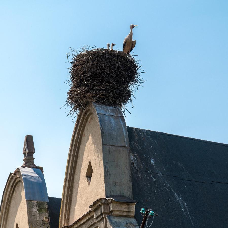 Zamek Sarny - Schloss Scharfeneck Kłodzko Esterno foto