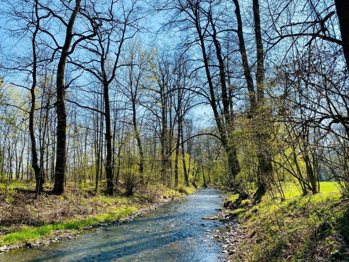 Zamek Sarny - Schloss Scharfeneck Kłodzko Esterno foto